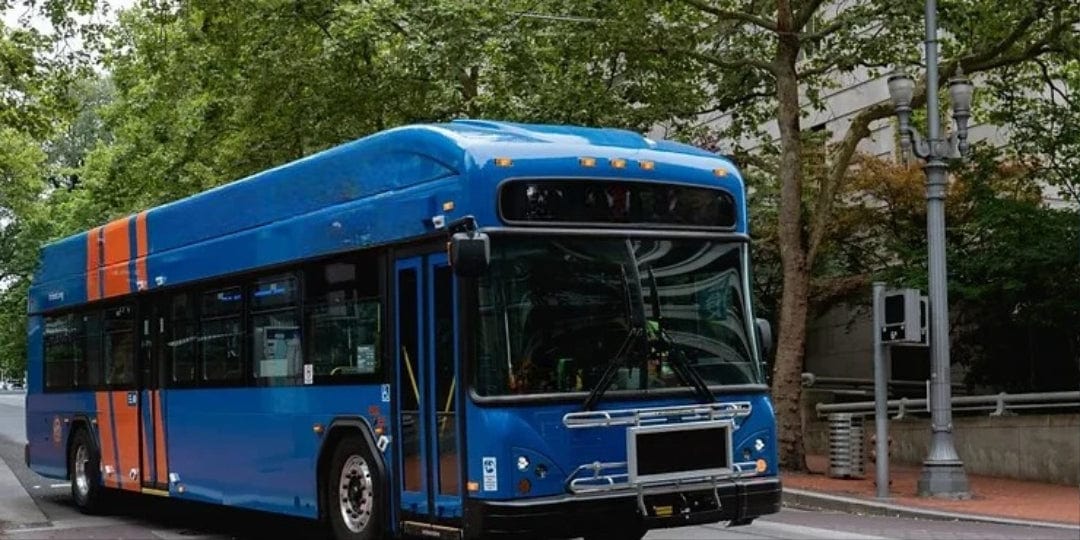 Comprehensive Coverage Across Top Gillig Bus Series